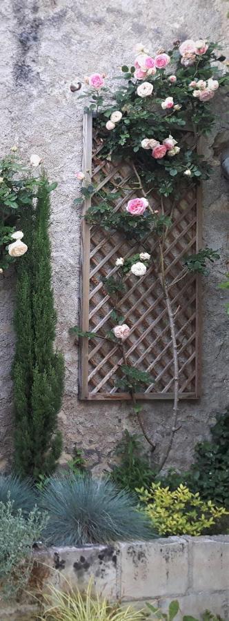 Hotel De Biencourt Azay-le-Rideau Dış mekan fotoğraf